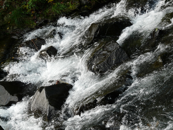 P1020235.JPG
