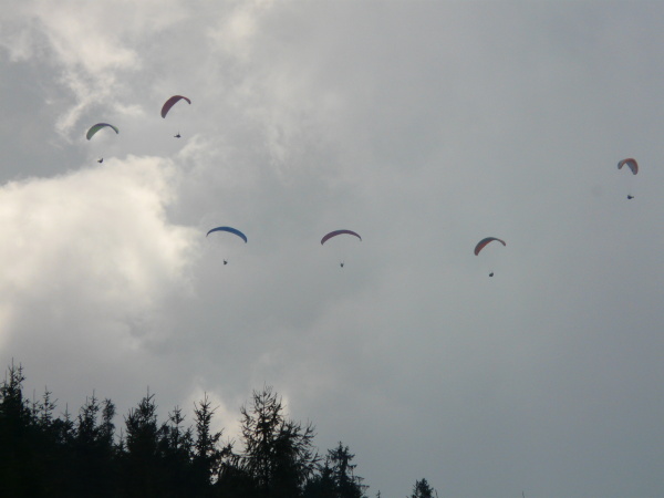 P1020325.JPG