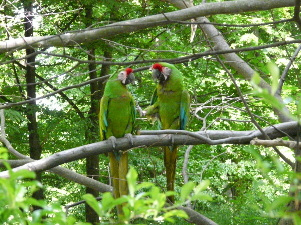 P1000217.JPG